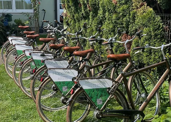 Ceconi By Gruene Zur Post - 100% Bio 3* Salzburg